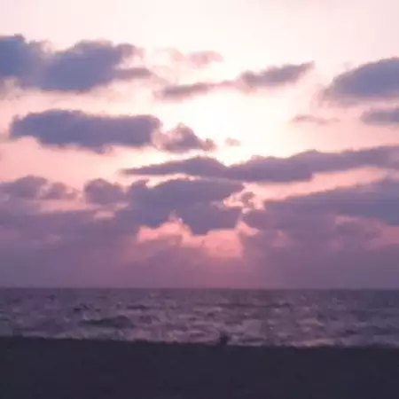משה, 40Haifa 