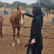 Photo אביגיל 1 